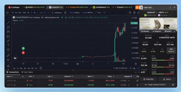 A cryptocurrency price chart for CASHCAT/WETH on CoinGecko/DeXtools, showing a massive price spike with a $0.13 WETH current value, $1.39M liquidity, and a cat meme image in the corner.