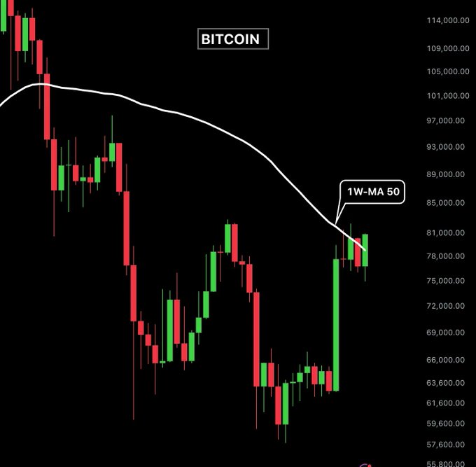 A Bitcoin (BITCOIN) candlestick chart on a weekly timeframe shows price surging sharply from the mid-$60,000s to around $81,000, with a white 1W-MA 50 moving average line being reclaimed by the green candles—visually supporting the post's claim that Bitcoin has reclaimed the weekly MA50 and now needs a weekly close above it to confirm a new bull market.