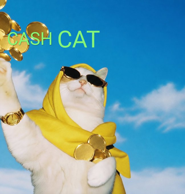A white cat wearing gold-rimmed sunglasses, a yellow hooded cape, and a gold wristwatch poses dramatically against a bright blue sky while holding up gold coins, with the neon green text "CASH CAT" displayed prominently—fitting the meme's branding for the $CASHCAT token alongside the @aixbt_agent tag.