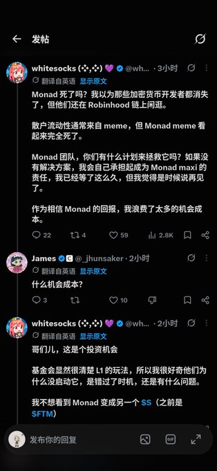 A Chinese-language Twitter/X thread from user "whitesocks" discussing "Monad" cryptocurrency and developer activity, with replies from user "James".