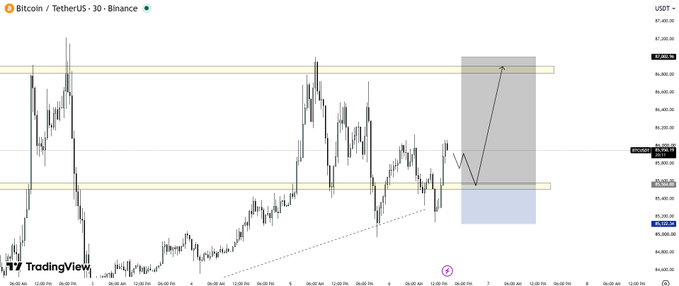 A TradingView 30-minute candlestick chart of Bitcoin/TetherUS on Binance, showing highlighted price levels, a trend line, and a gray shaded projection area pointing upward toward $96,800.
