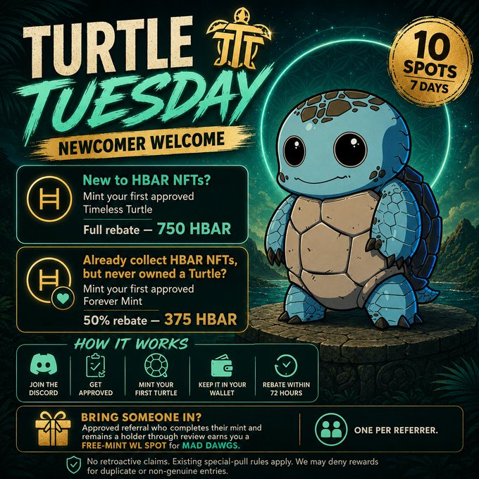 A promotional flyer for 'TURTLE TUESDAY' advertises a 'NEWCOMER WELCOME' HBAR NFT event with a 3D-rendered blue turtle, offering rebates of '750 HBAR' and '375 HBAR' for new and existing collectors.
