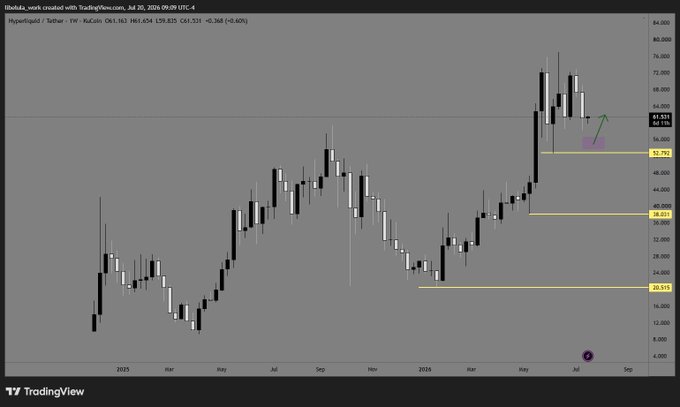 This TradingView chart displays the price action of Hyperliquid (HYPR) against Tether (USDT), showing significant price swings and key support levels. The chart visually supports the post's claim that Hyperliquid has achieved notable operational levels despite its niche status.