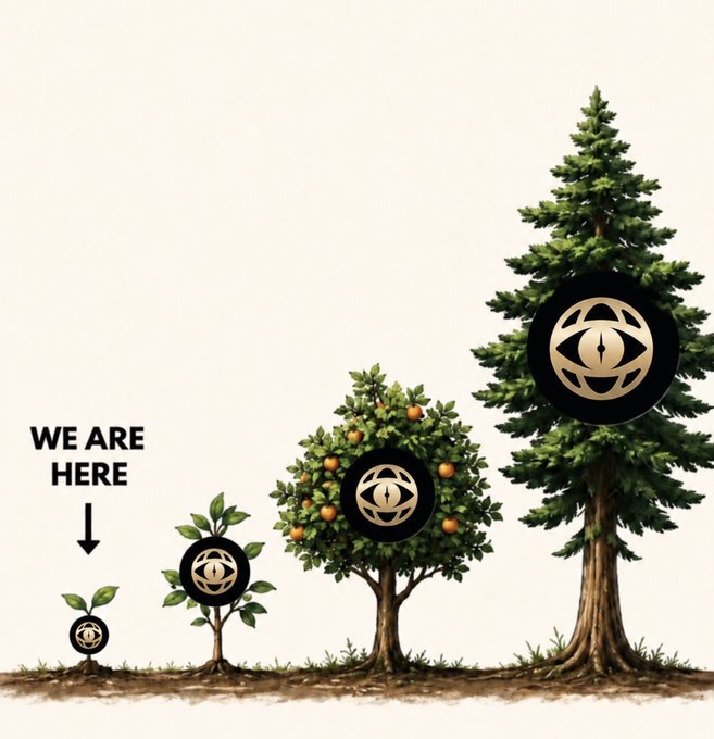 An illustration showing four stages of tree growth from a small sprout to a large pine tree, with each stage featuring a circular logo, and text 'WE ARE HERE' pointing to the second stage.