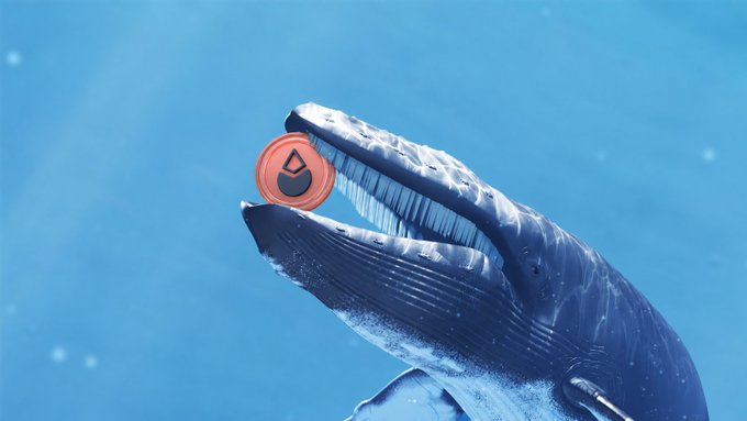 A blue whale is depicted holding an orange coin with a flame-like symbol in its mouth against a deep blue underwater background.