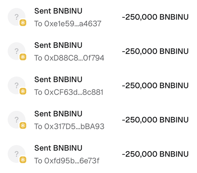 A screenshot of multiple cryptocurrency transactions showing 'Sent BNBINU' of -250,000 tokens to various wallet addresses (0xe1e59...a4637, 0xD88C8...0f794, 0xCF63d...8c881, 0x317D5...bBA93, 0xfd95b...6e73f).
