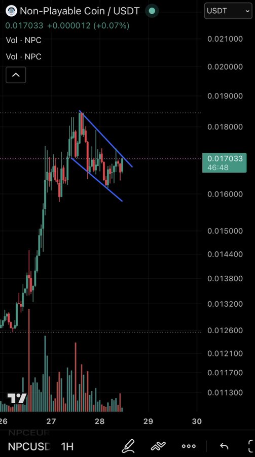 A candlestick chart of NPC/USDT on the 1-hour timeframe shows a current price of 0.017033 (46:48 timer), with the price forming a descending channel pattern between roughly 0.016-0.019 after a strong rally from 0.012. The chart supports the bullish "$NPC round 2" narrative, suggesting a potential breakout toward 0.025 if price can escape the overhead resistance.