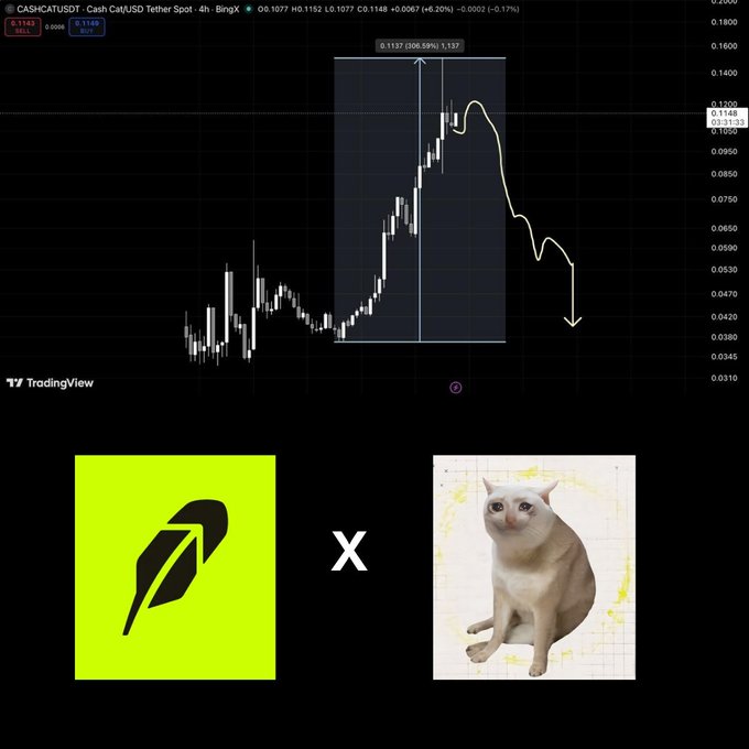 A TradingView 4h chart for CASHCATUSDT showing a spike to 0.1137 followed by a decline, with logos featuring a green leaf and a cat.