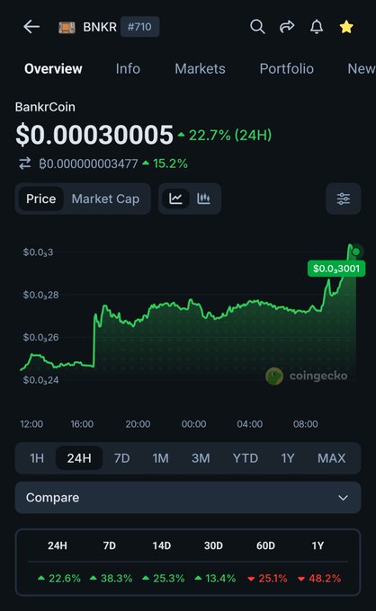 A screenshot from CoinGecko displays the 'BNKR #710' (BankrCoin) page, showing a price of $0.00030005, a 22.7% increase over 24H, and a green price chart.