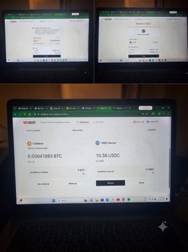 A workspace setup with three laptops displaying cryptocurrency wallets, prominently showing a Trust Wallet interface with 0.00641893 BTC and 10.56 USDC balances.