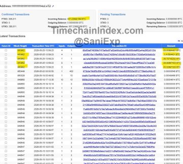 The image shows a screenshot of a computer screen displaying a list of transactions. The text "That's insane—today someone sent 107 BTC to a Bitcoin burn address and burned it, worth a whopping $8.4 million." indicates that there is an interesting story behind these transactions involving Bitcoin.