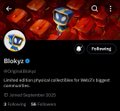 The image shows a social media profile page for "Blokyz" (@OriginalBlokyz) with a verified checkmark, 1,365 likes, and 1.5K followers. The accompanying post indicates this is an NFT/Collectibles project currently in the pre-launch stage with its blockchain chain yet to be announced.