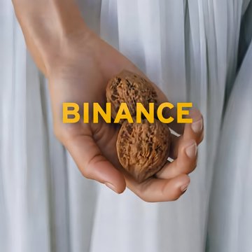 A hand holds two wenwan walnuts with the bold yellow text "BINANCE" overlaid, tying into the playful suggestion that Binance could create its own branded walnuts as a fun trading accessory. The image visually represents the cultural fusion of traditional Chinese hand-play walnuts with the modern cryptocurrency exchange, echoing the post's lighthearted proposal for a "Binance Wenwan Walnut" peripheral.