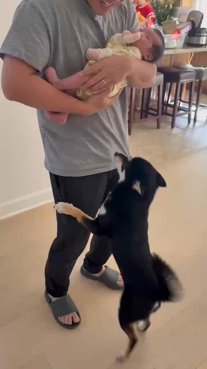 The image shows a man holding a baby, with a dog standing next to them. A caption below the photo reads "When 42 see my baby the first time". The man's gray t-shirt contrasts with his black pants, while the dog has brown and white fur.