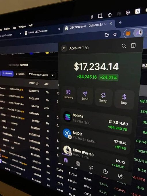 A computer screen showing a cryptocurrency wallet displaying a balance of $17,234.14 (+24.21%) with holdings in Solana (75.7384 SOL worth $16,514.66), USDC, and Ether (Portal), alongside a DEX Screener tab in the background.