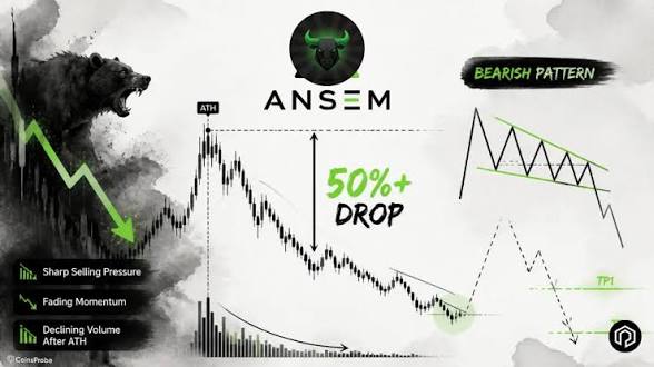 A black and white technical analysis graphic branded with "ANSEM" displays a bearish chart pattern forecasting a "50%+ DROP" from the current all-time high (ATH), highlighting warning indicators such as "Sharp Selling Pressure," "Fading Momentum," and "Declining Volume After ATH." The image visually supports the post's message that despite the current quiet market, $ANSEM is positioned in a risky zone where momentum could quickly resume a significant downward move.