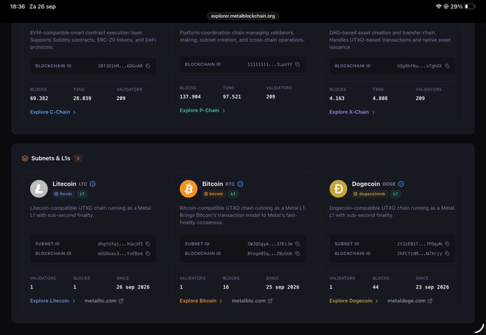A screenshot of explorer.metallblockchain.org displaying blockchain network statistics including P-Chain (137,904 blocks), C-Chain (69,382 blocks), and X-Chain (4,163 blocks), along with subnets like Litecoin, Bitcoin, and Dogecoin.