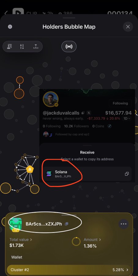 A screenshot of a 'Holders Bubble Map' interface showing a Solana wallet address 'BAr5cs...xZXJPh' (highlighted with a red circle and white oval) with a total value of $1.73K, belonging to the user @jackduvalcalls.