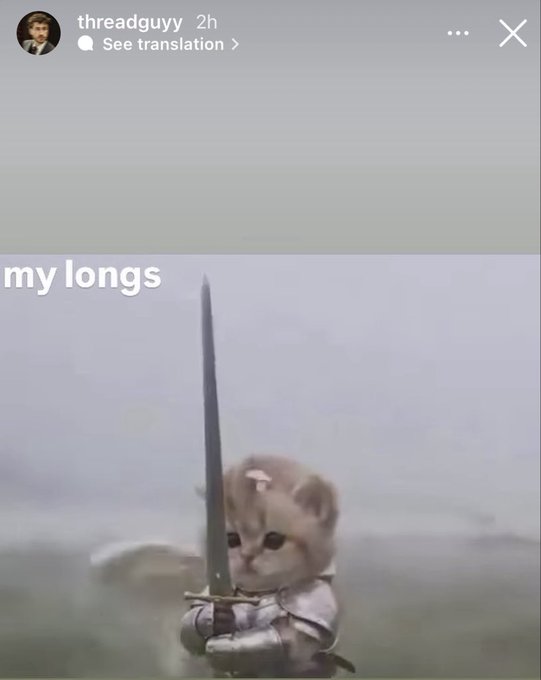 A meme screenshot from user "threadguyy" showing a tiny kitten in medieval armor holding a sword with the caption "my longs".
