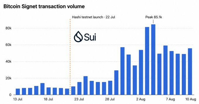 Bar chart titled "Bitcoin Signet transaction volume" showing daily transaction counts from July 13 to August 10, with a marked peak of 85.1k transactions around August 5th following the Sui Hashi testnet launch on July 22nd.