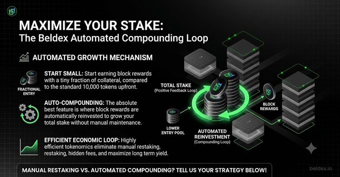 A promotional infographic for Beldex titled 'MAXIMIZE YOUR STAKE: The Beldex Automated Compounding Loop' detailing features like fractional entry, auto-compounding, and efficient economic loop, with beldex.io branding.