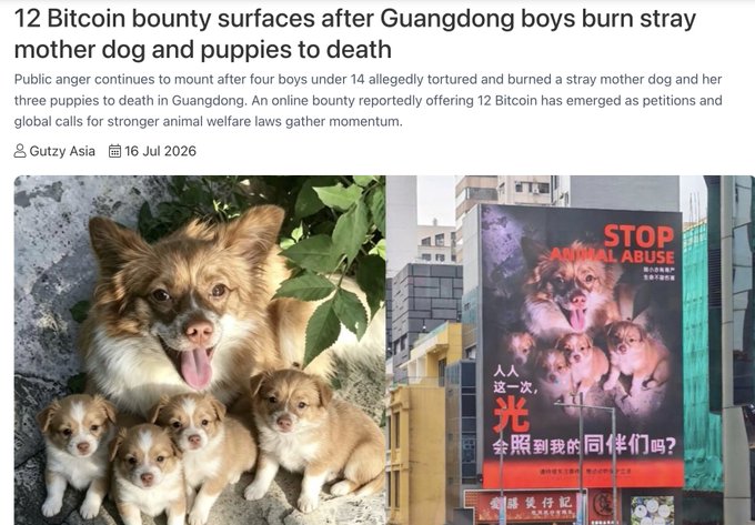 A news article headline reads "12 Bitcoin bounty surfaces after Guangdong boys burn stray mother dog and puppies to death," accompanied by a photo of a mother Chihuahua with her four puppies and a "STOP ANIMAL ABUSE" billboard. The image relates to the post by illustrating the reported 12 Bitcoin bounty being offered to bring justice to the perpetrators of the animal cruelty case involving the dog "Wangwang" and her puppies in Guangdong.