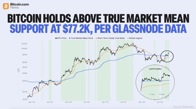 A Bitcoin.com News infographic displays a Glassnode chart showing BTC price (black) holding above the True Market Mean (blue line at ~$77.2K) and Short-Term Holder Cost Basis (orange) from January 2023 to late 2026, with a zoomed-in "Last 6 weeks" inset highlighting the recent support hold since September 18.