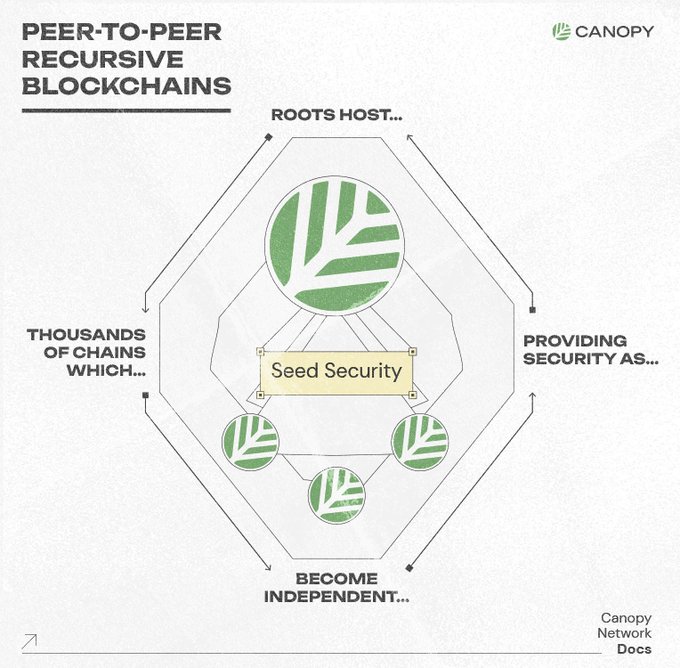 A diagram from Canopy Network Docs titled "Peer-to-Peer Recursive Blockchains" illustrates the network's structure: a central "Roots Host" icon branches out to thousands of chains, which provide security while becoming independent, all anchored by "Seed Security" at the core—visually reinforcing the post's explanation of how Canopy's token model works, where issuance is driven by real network activity through recursive, security-providing chains originating from a single root.