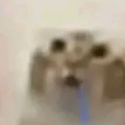 A highly blurred, low-resolution image of a small white and tan dog with large dark eyes looking directly at the camera.