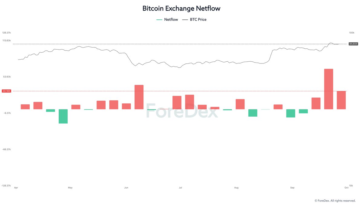 Line and bar chart titled "Bitcoin Exchange Netflow" from ForeDex showing BTC price trends above and red/green netflow bars below from April to October.