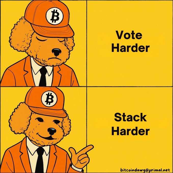 A two-panel Bitcoin-themed meme features an orange poodle wearing a Bitcoin cap: the top panel shows the dog looking down with 'Vote Harder', and the bottom panel shows it pointing with 'Stack Harder', signed 'bitcoindawg@primal.net'.