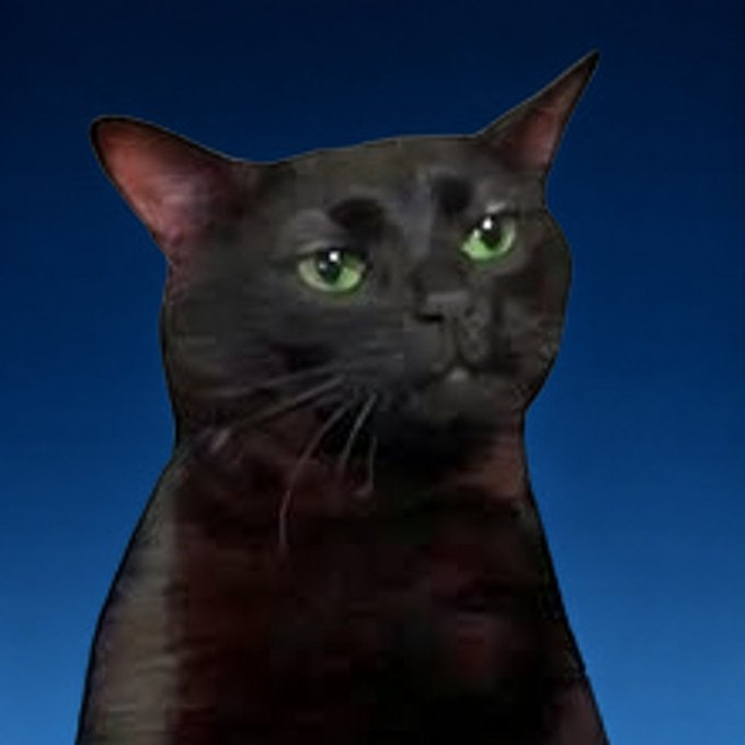 A close-up portrait of a black cat with bright green eyes looking directly at the camera against a dark blue background.