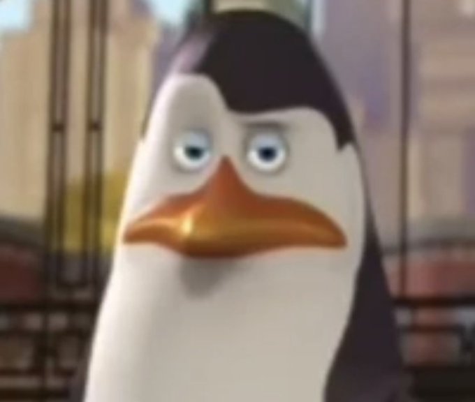 A close-up of Skipper from the "Penguins of Madagascar" with a weary, dead-eyed expression captures the exhausted, haunted look of someone still glued to outdated crypto platforms. The penguin's tired stare perfectly embodies the "pumpfun installed" joke, suggesting a worn-out trader who can't let go of past memecoin degeneracy.