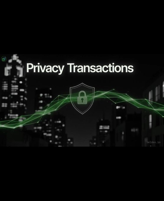 A dark graphic with a city skyline background, green neon waves, a shield icon with a lock, and the text 'Privacy Transactions' branded by beldex.io.