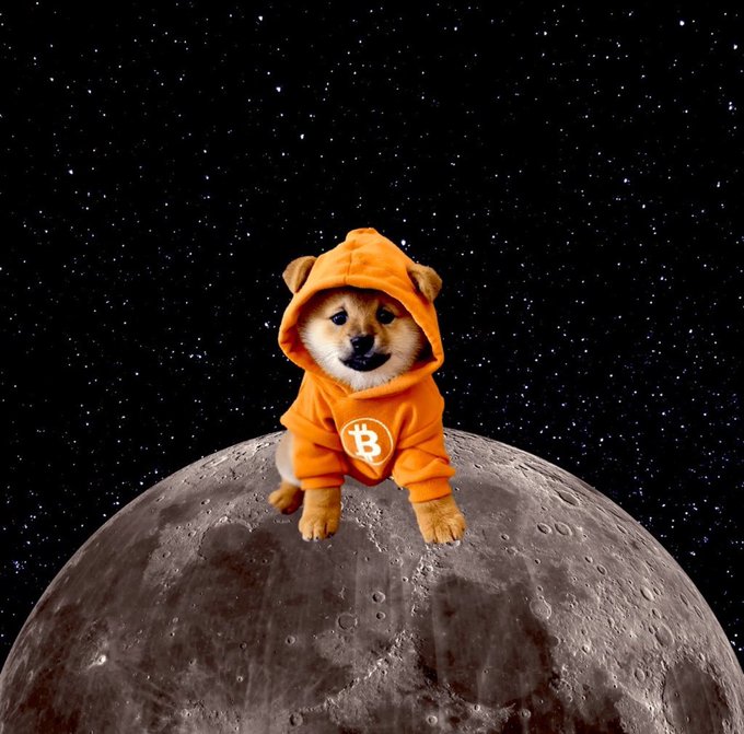 A Shiba Inu dog wearing an orange Bitcoin hoodie sits on the moon against a starry background.