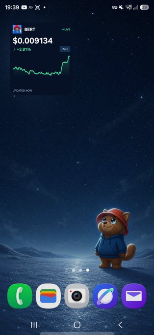 A phone home screen displays a stock tracker widget for the BERT ticker showing a current price of $0.009134 with a +3.81% gain over 24 hours, alongside a cartoon cat character on a starry night background. The widget's live price data visually reinforces the post's message about missing a buying opportunity during BERT's dip, with the current upward trend shown in the chart suggesting the hesitation may have cost the entry point.