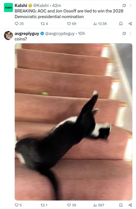 A screenshot of a tweet exchange where Kalshi reports 'BREAKING: AOC and Jon Ossoff are tied to win the 2028 Democratic presidential nomination' and avgreplyguy responds 'coins?' with an image of a black and white kitten tumbling headfirst down wooden stairs.