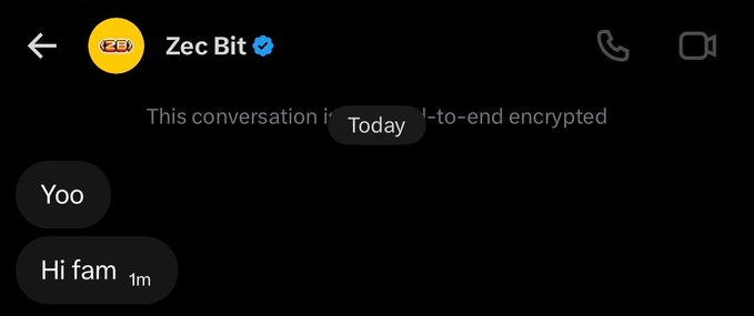 A WhatsApp chat screenshot from a contact named "Zec Bit" (marked with a blue verification checkmark) showing messages "Yoo" and "Hi fam," referencing Zcash ($ZEC) crypto token in a context of seeking a whitelist allocation.