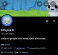 A screenshot of a Discord chat for the "Chipis" community, with the description "cats for people who miss 2007's internet," showing 9 online members and a join date of July 2020.