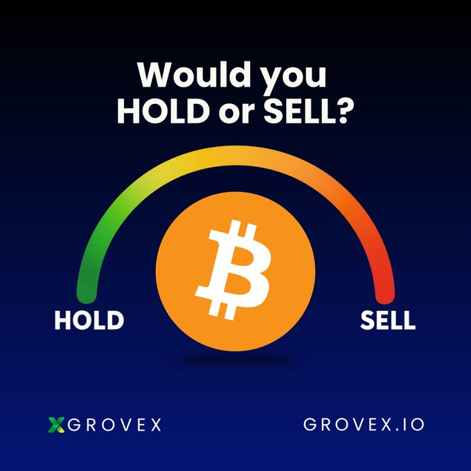 A promotional graphic with a Bitcoin symbol and a semicircular gauge asking "Would you HOLD or SELL?" featuring the text "XGROVEX" and "GROVEX.IO".