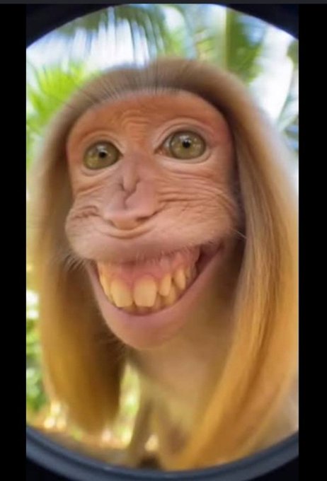A humorous digitally altered close-up of a monkey with a wide, toothy human-like smile, framed within a circular border.