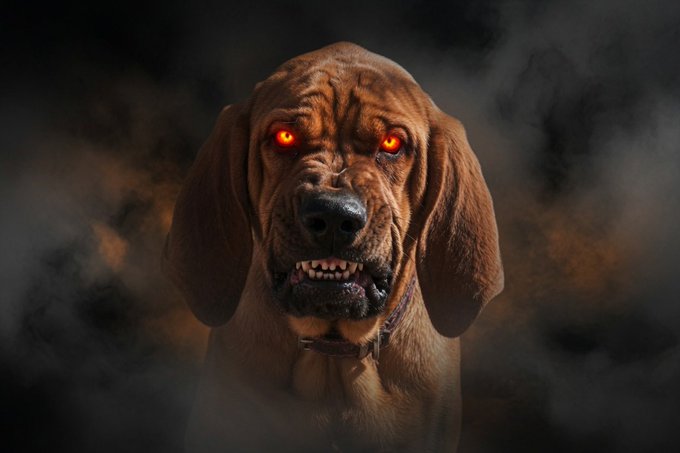 A Bloodhound with glowing red eyes and a snarling expression dominates the frame against a smoky, ominous backdrop. The image visually echoes the caption’s “₿LOODHOUND” metaphor for sniffing out fake bitcoiners.
