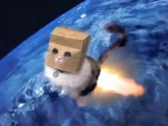A cat with a cardboard box on its head appears to be rocketing through space above Earth with a fiery exhaust trail, humorously illustrating the post's message about the crypto "$ZEC" being a high-flying bet compared to riskier alternatives like "$NEAR."