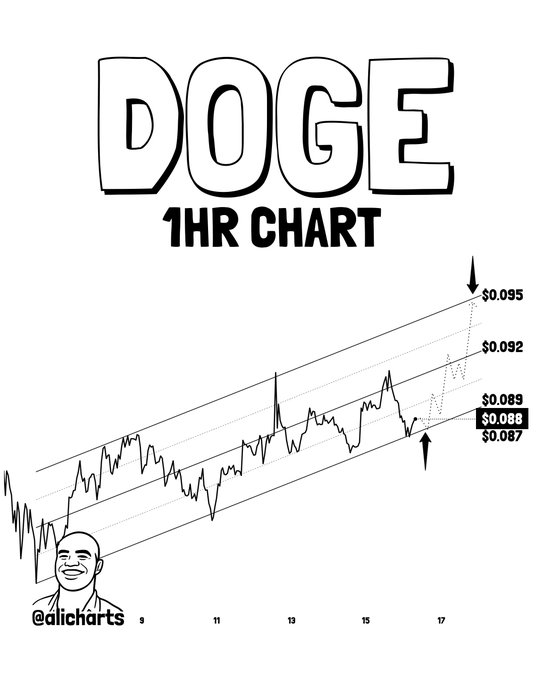 The image shows a black and white line graph depicting the price of Dogecoin over time, with a man's head above the chart representing a symbol for the cryptocurrency. The graph displays an upward trend indicating that Dogecoin may continue to rise in value. The title "Doge 1hr Chart" suggests that this information is relevant to Bitcoin trading or cryptocurrency enthusiasts interested in the market's performance of Dogecoin.