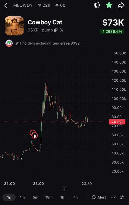 A cryptocurrency trading chart for 'Cowboy Cat' (9SXP...pump) showing a price of $73K with a 2636.6% increase, and 911 holders.