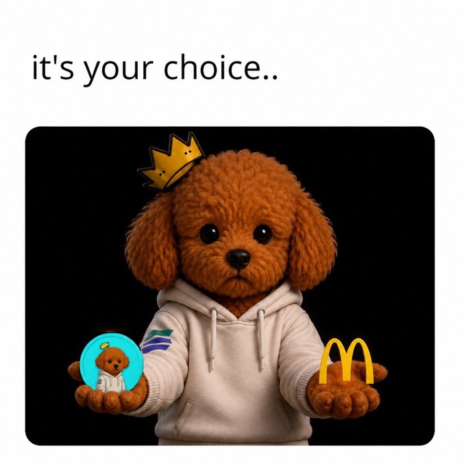 A cartoon dog wearing a crown and hoodie holds out two choices: a small profile icon on the left and the McDonald's golden arches on the right, under the text "it's your choice.." The meme playfully suggests a decision between $MEELO and McDonald's, tying into the post's promotion of the $MEELO token as a standout setup.