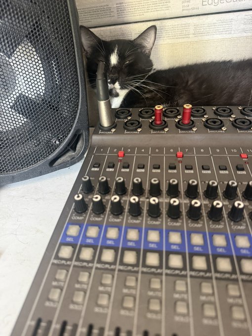 A black and white cat resting behind an audio mixing console with numerous knobs and faders, next to a studio monitor speaker.
