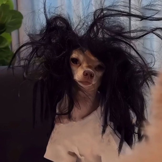 A small dog or animal wearing a messy black wig and a pink tutu, with a sad expression on its face.