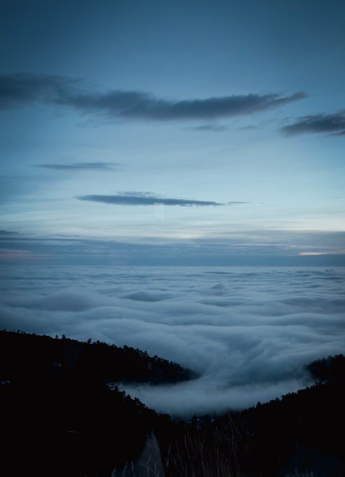A scenic landscape photograph of a sea of clouds viewed from a mountain height at dusk or dawn, with dark tree silhouettes in the foreground.