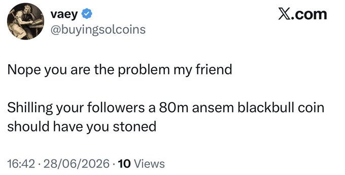 A screenshot of a tweet from user @buyingsolcoins (vaey) calling someone out for "shilling your followers a 80m ansem blackbull coin should have you stoned," with low engagement (10 Views) timestamped 16:42 on 28/06/2026—contrasting the critic's small reach against the poster's claim of $ANSEM climbing from 73mil to 290mil.